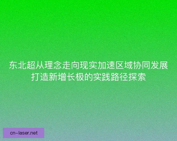 东北超从理念走向现实加速区域协同发展打造新增长极的实践路径探索